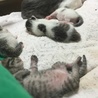 無事決まりました!! サムネイル3