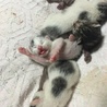 無事決まりました!! サムネイル4