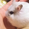 堀越3さん