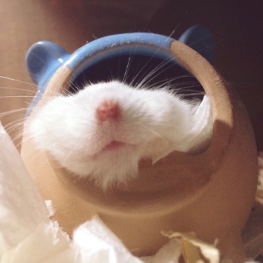 の写真