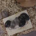 ☆ありがとうございました❗️☆