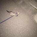 皆さまご応募ありがとうございました。
