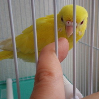 元気です！たくさんのご応募ありがとうございました。