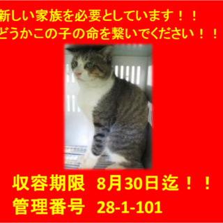 里親決定！！お迎えありがとうございました(^^♪