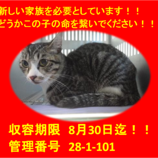 里親決定！！お迎えありがとうございました(^^♪