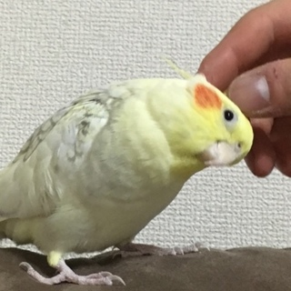 沢山のお問い合わせを誠にありがとうございました。