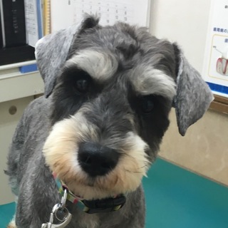 怖がりで少し臆病な男の子♪