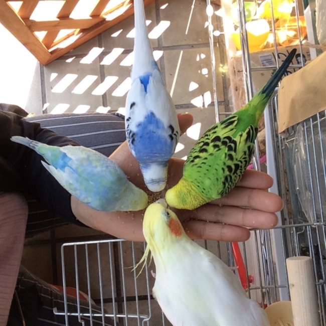 sora&yuzuのカバー写真