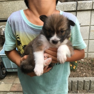 生後1ヶ月半ぐらい