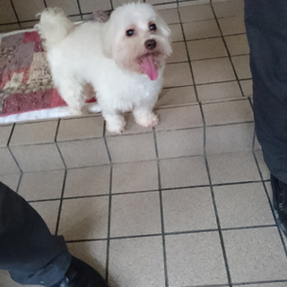 只今お話を進めております。