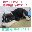 家庭が出来ました！