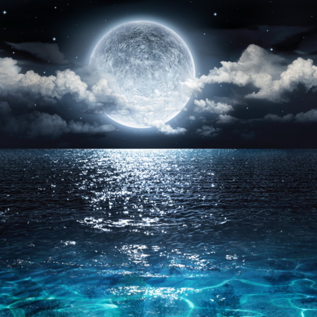 MArooのカバー写真