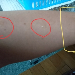 「佐藤さんにやめてほしいこと。」サムネイル1