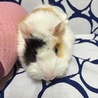  さん