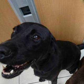 ただ今、交渉中☆一旦募集を停止します。