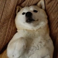 そらやま