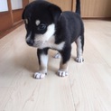 ありがとゥ。幸せになります。