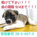 家族が出来ました！！