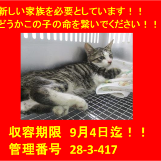 里親決定！！本当に有り難うございました(^^♪