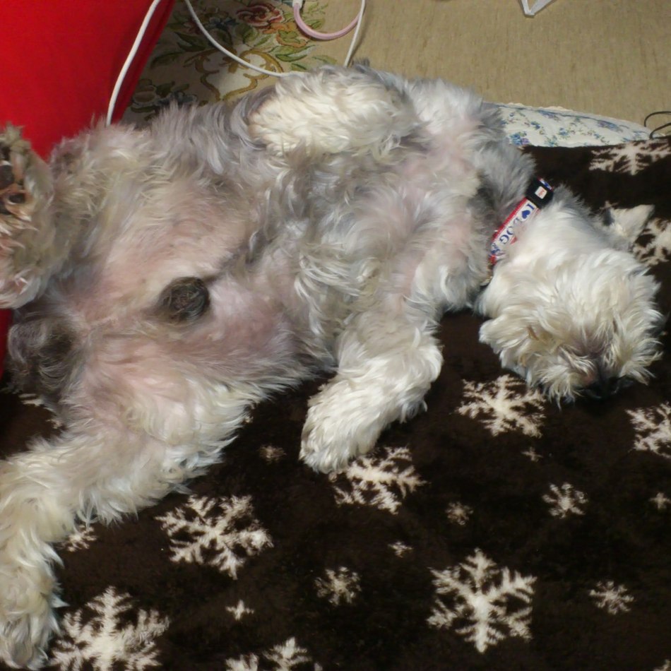 うらんのカバー写真