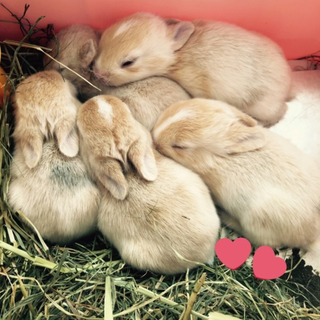 yukiyuki0218のカバー写真