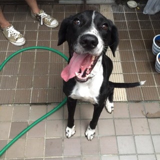 緊急募集！ 僕、ゼロ。独りぼっちです…