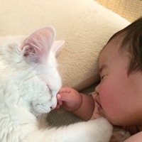 コハル