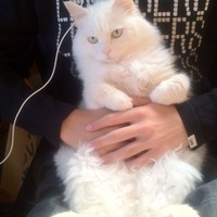 ミュウ