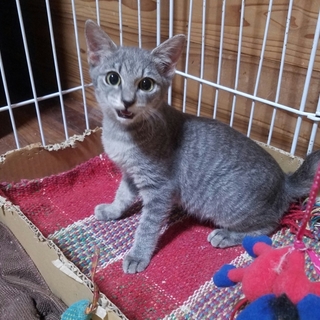 ありがとうございました❗