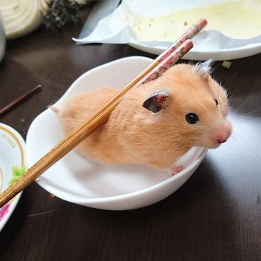 食べられちゃうぞ‼