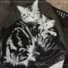 ビビ♡