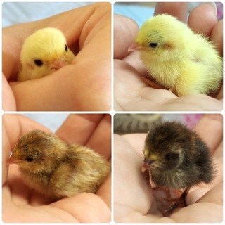 どうもありがとうございました(^^)