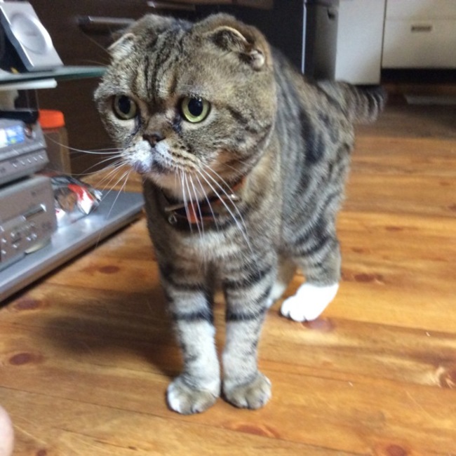 めいとなおのカバー写真