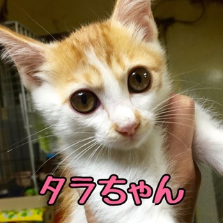幸せカギ尻尾のタラちゃん♪