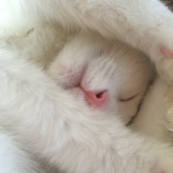 落ち着いたかな