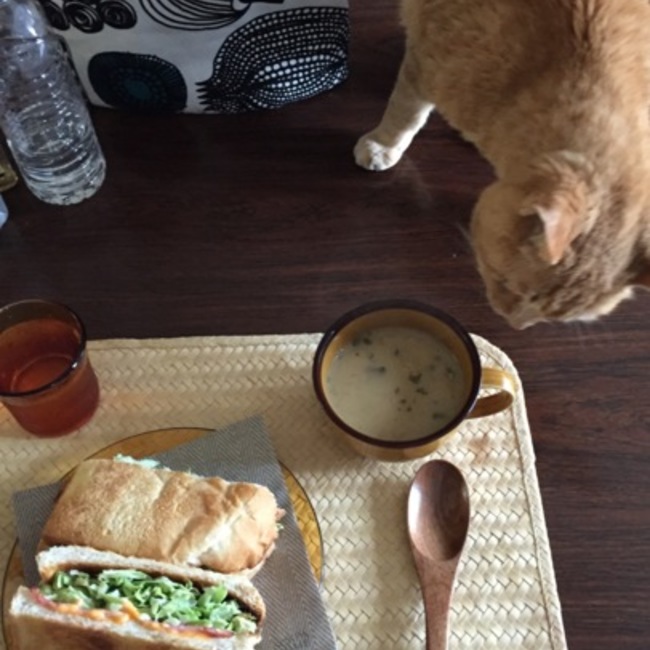 tomo299のカバー写真