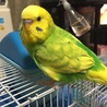 の写真