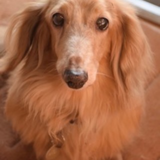 フレンドリーなコナンくん