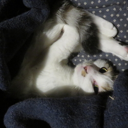 「秋の気配？」サムネイル3