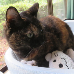 「秋の気配？」サムネイル2