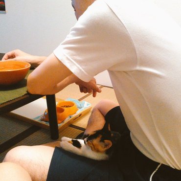 お父さん足痺れるかもよー