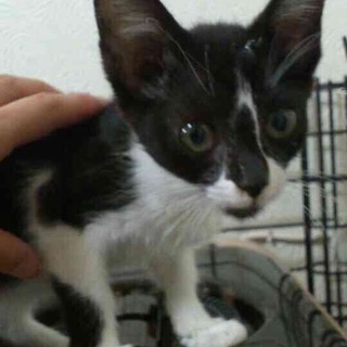 ☆里親さん決まりました☆