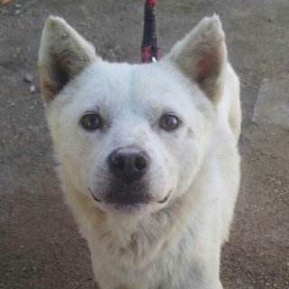 助かりました(T∀T)♪