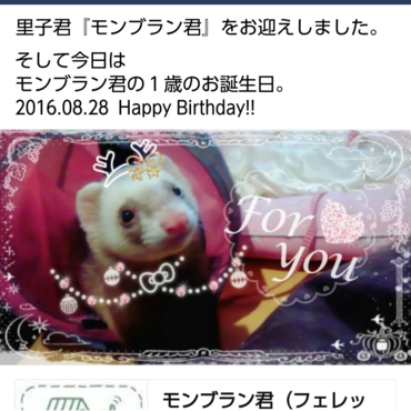 !✿Happy Birthday✿! 2016.08.28 