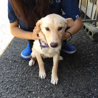 リオくん長野のＩ様ご一家に迎えて頂きました