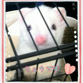 たくさんのご応募ありがとうございました！