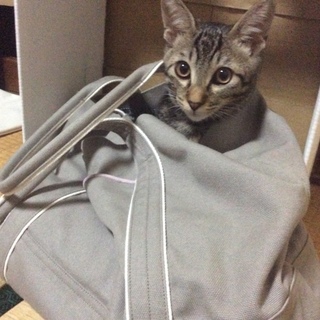 可愛がってくれる方
