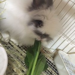 「回復しました〜(^｡^)」サムネイル2