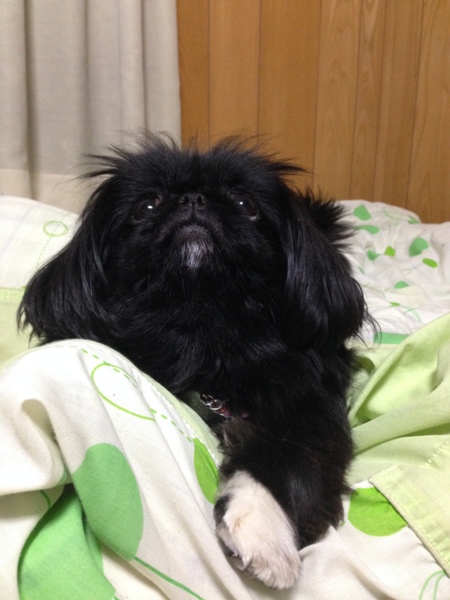 まお