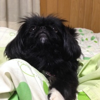 まお